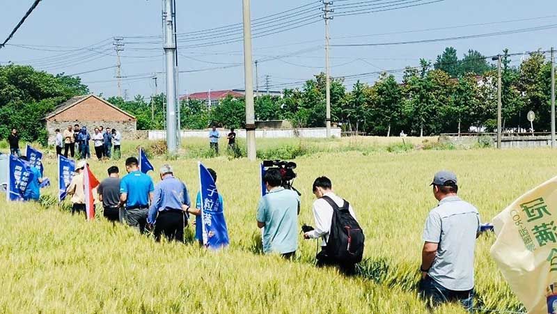 520健康植保日——擁抱綠色農(nóng)業(yè)，我們在行動(dòng)