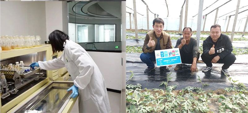 打造新朝陽生物科技“五張名片”，服務(wù)農(nóng)業(yè)高質(zhì)量發(fā)展！