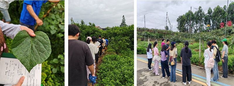 首個！中國農(nóng)業(yè)大學攜手新朝陽啟動“朝陽稼穡計劃”